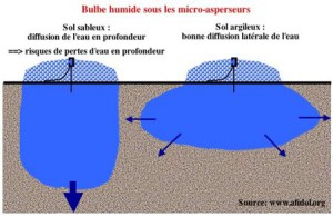 La conduite de l'irrigation - FRANCE OLIVE - AFIDOL